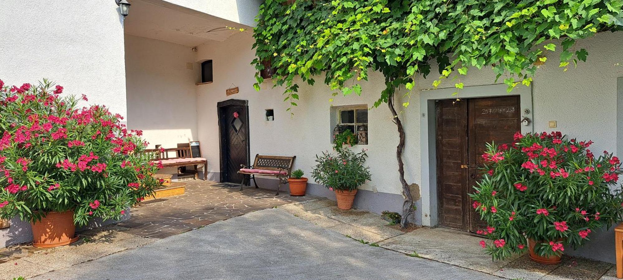 Ana Antloga Apartments بليد المظهر الخارجي الصورة